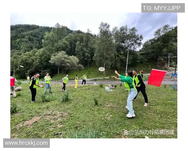 飞盘新手必看：轻松掌握团队协作技巧与实战策略